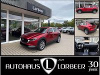 Neu Mazda CX-30 140 PS (102 kW) 2026 Rot SUV