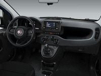 Neu Fiat Panda Icon 65 PS (47 kW) 2026 Gelb Kleinwagen