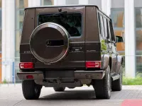 Gebraucht Mercedes G350 245 PS (180 kW) 2014 SUV