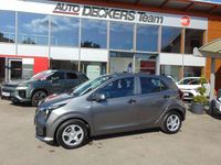 Neu Kia Picanto Edition 7 63 PS (46 kW) 2025 Astrograu met Kleinwagen