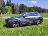 Gebraucht Mazda CX-30 Selection 179 PS (131 kW) 2019 Grau SUV