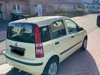 Gebraucht Fiat Panda 50 PS (36 kW) 2009 Gelb Kleinwagen