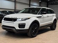 Gebraucht Land Rover Range Rover evoque SE 150 PS (110 kW) 2019 Weiß SUV
