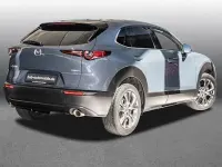 Gebraucht Mazda CX-30 Selection 186 PS (136 kW) 2021 Grau SUV