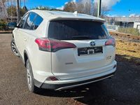 Gebraucht Toyota RAV4 Executive 197 PS (144 kW) 2017 Weiß SUV