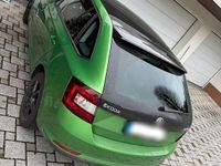 Gebraucht Skoda Rapid Clever 110 PS (80 kW) 2018 Grün Kleinwagen
