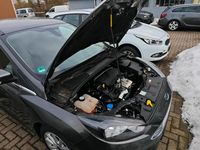 Gebraucht Ford Focus 100 PS (73 kW) 2015 Grau Kleinwagen