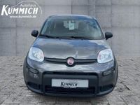 gebraucht Fiat Panda Hybrid 1.0 GSE 70PS