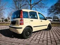Gebraucht Fiat Panda 60 PS (44 kW) 2009 Gelb Kleinwagen