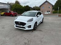 Neu Ford Puma ST-Line 125 PS (91 kW) 2025 Frost weiß SUV