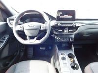 gebraucht Ford Kuga 2.0 EcoBlue Aut. ST-LINE