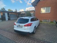 Usata Ford Focus 125 CV (91 kW) 2015 Bianco Station wagon