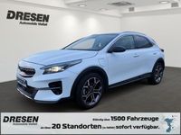 Gebraucht Kia XCeed Platinum 141 PS (103 kW) 2021 Hw2) deluxeweiss met. (weiss SUV