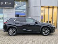Neu Lexus UX 2025 Schwarz SUV