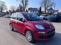 Neu Fiat Panda 65 PS (47 kW) 2026 Rot Kleinwagen