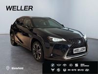 Gebraucht Lexus UX 184 PS (135 kW) 2022 Andere SUV