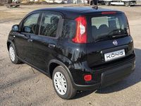 Gebraucht Fiat Panda 69 PS (50 kW) 2024 Schwarz Kleinwagen