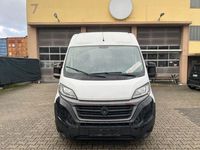 Gebraucht Fiat Ducato 160 PS (117 kW) 2021 Van