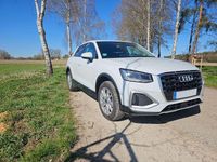 Gebraucht Audi Q2 Advanced Plus 116 PS (85 kW) 2024 Weiß SUV