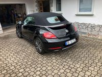Gebraucht VW Beetle Allstar 105 PS (77 kW) 2016 Schwarz Kleinwagen