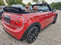 Gebraucht Mini Cooper D Cabriolet Chili 116 PS (85 kW) 2016 Rot Cabrio