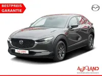 Gebraucht Mazda CX-30 Selection 150 PS (110 kW) 2020 Grau SUV