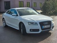 gebraucht Audi A5 3.0 TDI (DPF) S-tronic quattro - Top Zustand