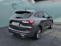 Gebraucht Ford Kuga ST-Line X 150 PS (110 kW) 2023 Andere SUV