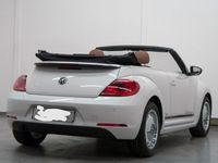 gebraucht VW Beetle 2.0 TDI 81kW BMT CLUB Cabriolet CLUB