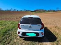 Gebraucht Kia Picanto Attract 67 PS (49 kW) 2018 Weiß Kleinwagen