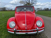 Gebraucht VW Käfer 34 PS (25 kW) 1962 Rot Cabrio
