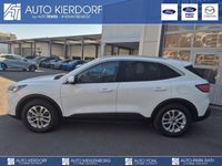 Gebraucht Ford Kuga Titanium X 190 PS (139 kW) 2022 Weiss SUV