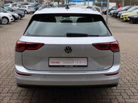 gebraucht VW Golf VIII 1.0 eTSI Life LED Navi Kamera DAB ACC