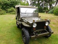 gebraucht Jeep Willys 