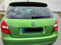 Gebraucht Skoda Fabia RS 179 PS (131 kW) 2012 Grün Kombi