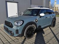 Gebraucht Mini Cooper S Countryman 220 PS (161 kW) 2020 Grün SUV