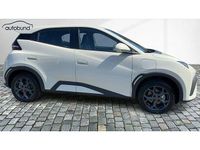 Neu BYD Dolphin Surf Boost 64 kW (88 PS) 2025 Kleinwagen