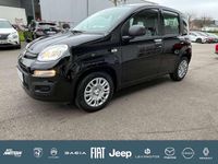 Neu Fiat Panda Icon 65 PS (47 kW) 2026 Rot Kleinwagen