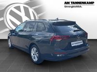 Gebraucht VW Golf VIII Life 150 PS (110 kW) 2023 Grau Kombi