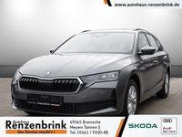 Neu Skoda Octavia Essence 116 PS (85 kW) 2025 Grau Kombi