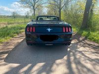 Gebraucht Ford Mustang 317 PS (233 kW) 2016 Schwarz Cabrio