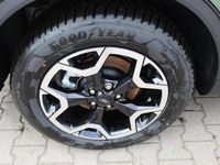 Gebraucht Ford Kuga Active 242 PS (177 kW) 2025 Bursting green metallic SUV