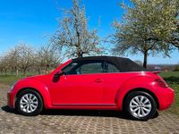 Gebraucht VW Beetle 2014 Rot Kleinwagen