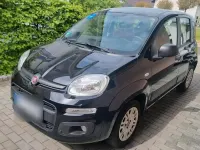 Gebraucht Fiat Panda 69 PS (50 kW) 2016 Schwarz Kleinwagen