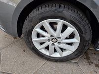 Gebraucht Seat Ibiza Reference 75 PS (55 kW) 2017 Grau Limousine