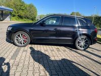 gebraucht Audi SQ5 3.0 TDI tiptronic quattro -