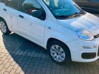 Gebraucht Fiat Panda 70 PS (51 kW) 2016 Weiß Kleinwagen