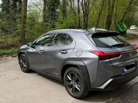 gebraucht Lexus UX 250h Launch Edition Launch Edition