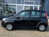 Gebraucht Fiat Panda 69 PS (50 kW) 2024 Cinema schwarz Kleinwagen