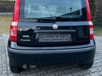 Gebraucht Fiat Panda Dynamic 69 PS (50 kW) 2010 Schwarz Kleinwagen